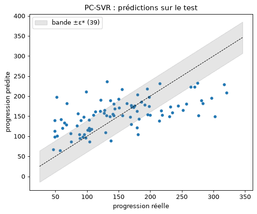 SVM à contraintes probabilistes